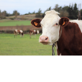 Découverte des mondes cynégétiques et agricoles
